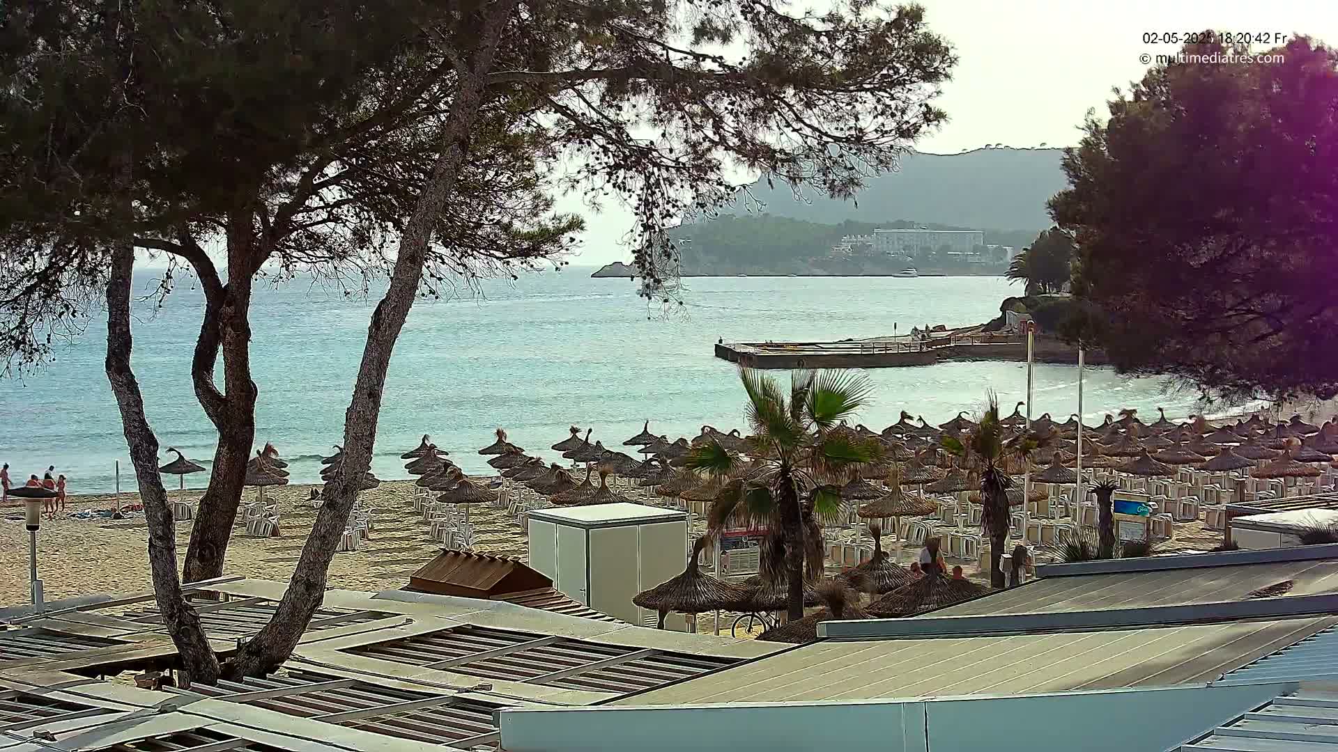 A sandy beach with numerous thatched umbrellas and lounge chairs sits below pine trees overlooking a calm, light-blue ocean and distant hills.