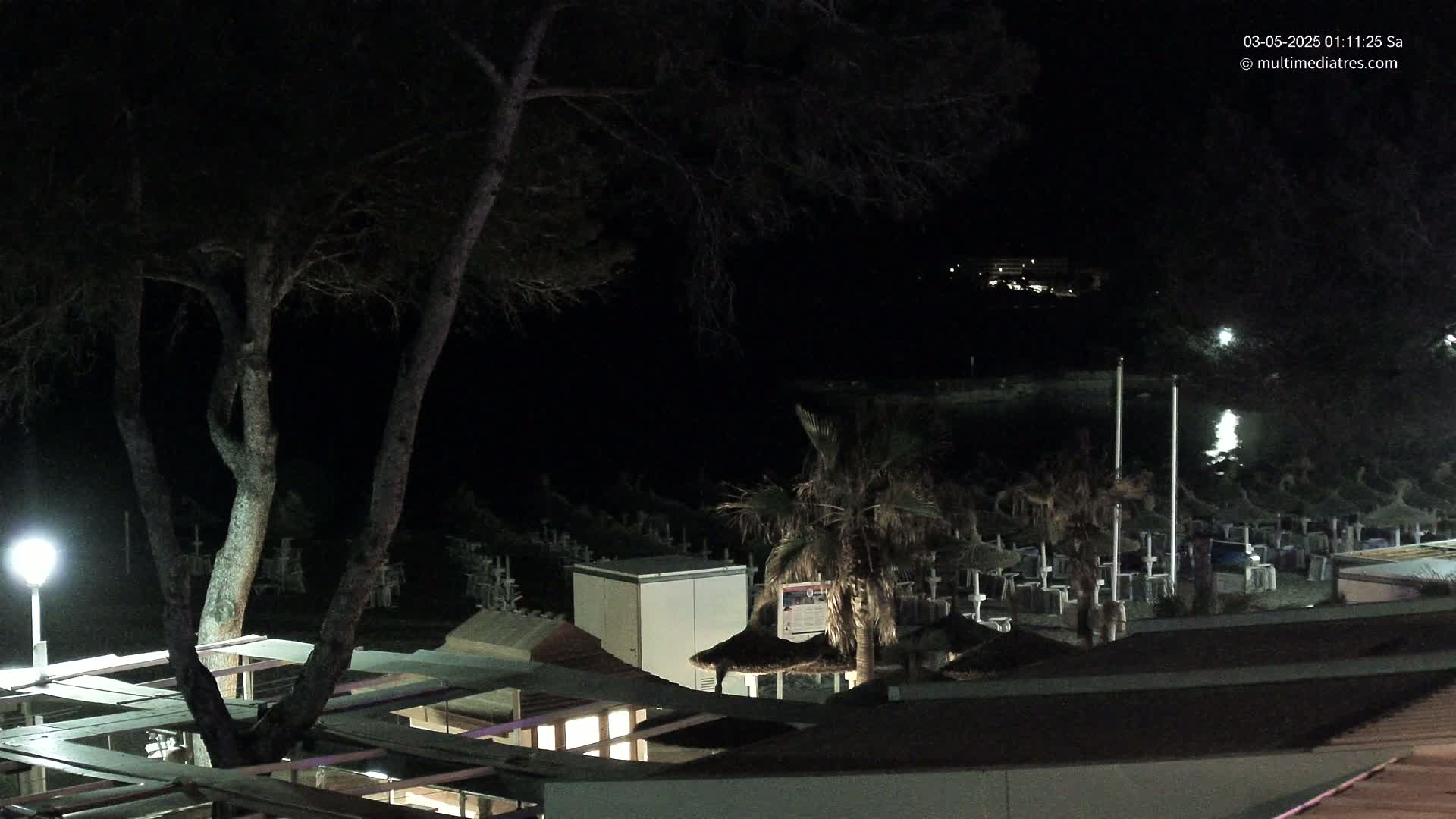 A nighttime view of a beach at night, showing dark trees, closed beach umbrellas, and a building, under dark conditions.