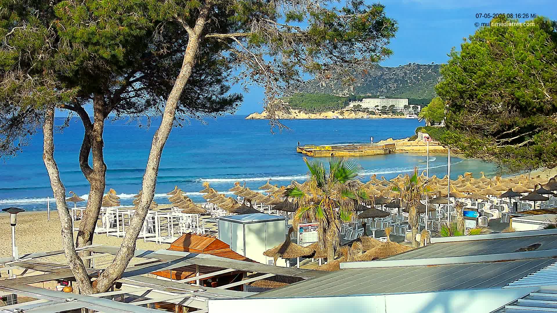 A sandy beach with numerous thatched umbrellas and beach chairs is nestled between a calm, blue ocean and a pine-covered hillside under a clear, sunny sky.