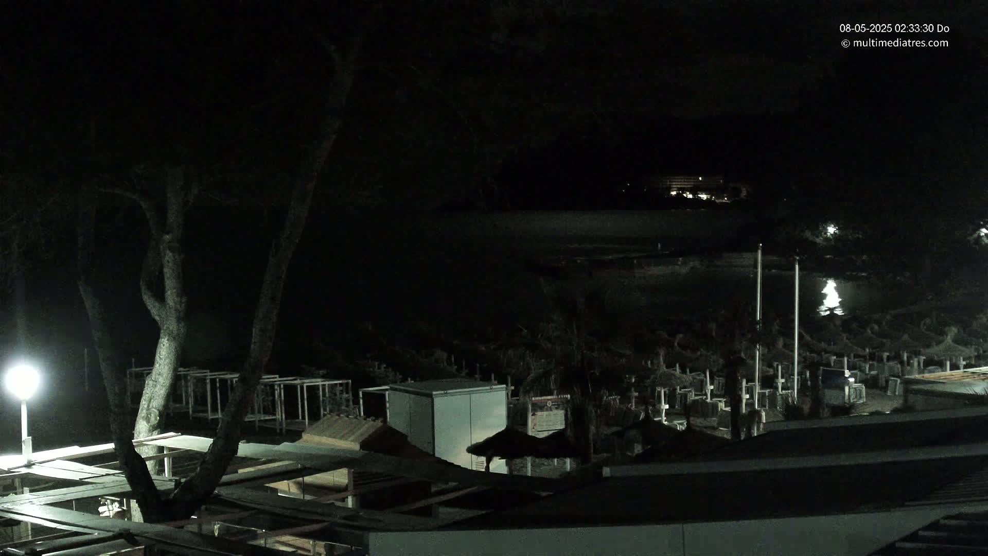 A nighttime view of a beach with closed beach umbrellas, a building, and trees under a dark sky.