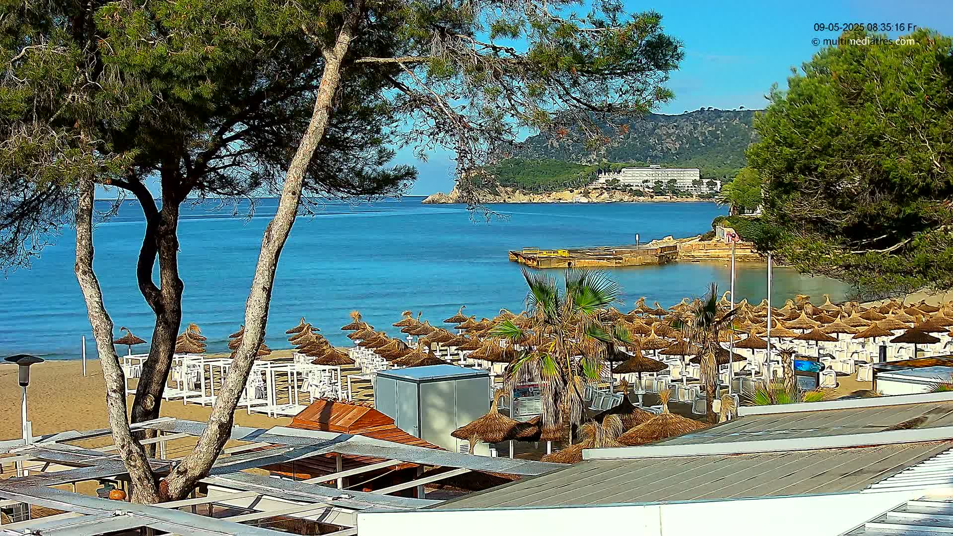 A sandy beach with numerous straw umbrellas and beach chairs is situated next to calm, clear blue water, with pine trees and a distant hillside visible under a sunny sky.