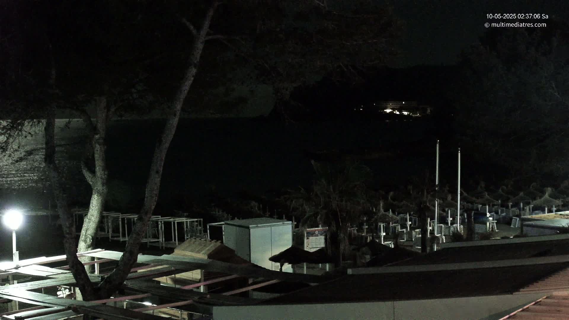 A nighttime view of a beach at night shows dark trees, a calm body of water, and rows of beach umbrellas and chairs under dim lighting.