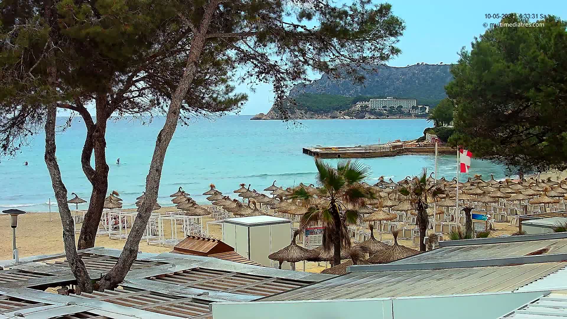 A sandy beach with numerous straw umbrellas and lounge chairs sits beneath a clear sky next to calm, light blue ocean water, partially obscured by pine trees.