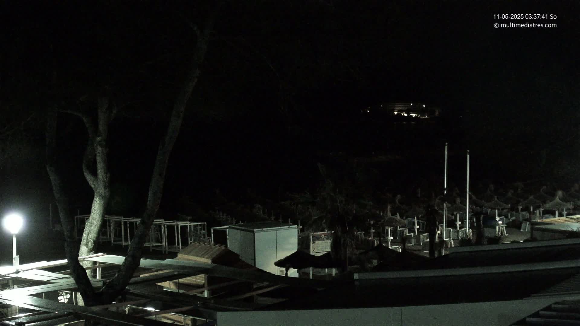 A nighttime view of a beach at night, showing closed beach umbrellas and a tree lit by a lamp, with a building visible in the distance.
