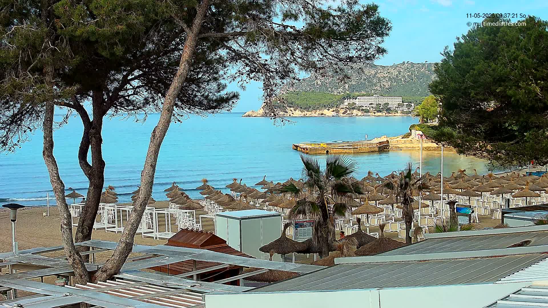 A sandy beach with numerous thatched umbrellas and lounge chairs overlooks a calm, turquoise ocean under a clear sky, partially obscured by pine trees.