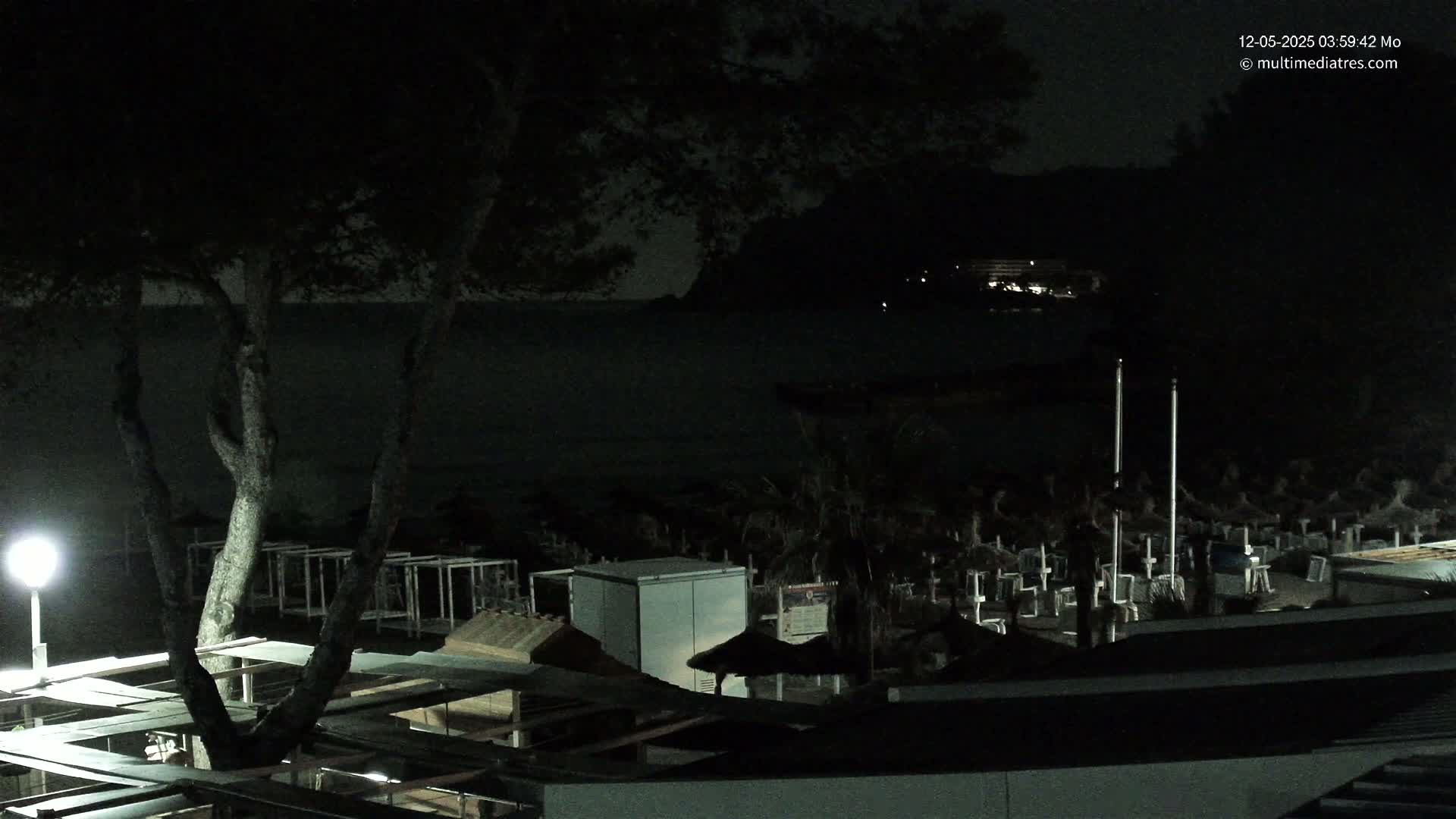 At night, a dark body of water is visible beyond a beach with numerous closed beach umbrellas and a large tree, illuminated by a single lamp.