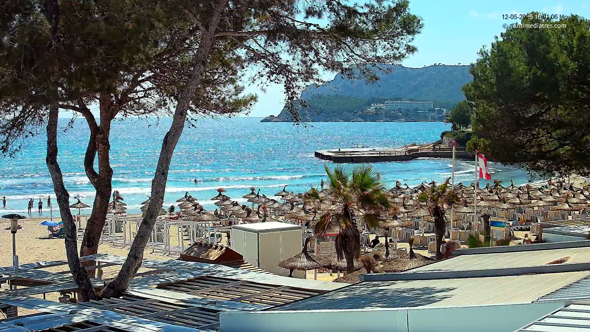 A sunny beach scene with numerous thatched umbrellas and lounge chairs, a calm turquoise ocean, and a backdrop of green hills under a clear sky.