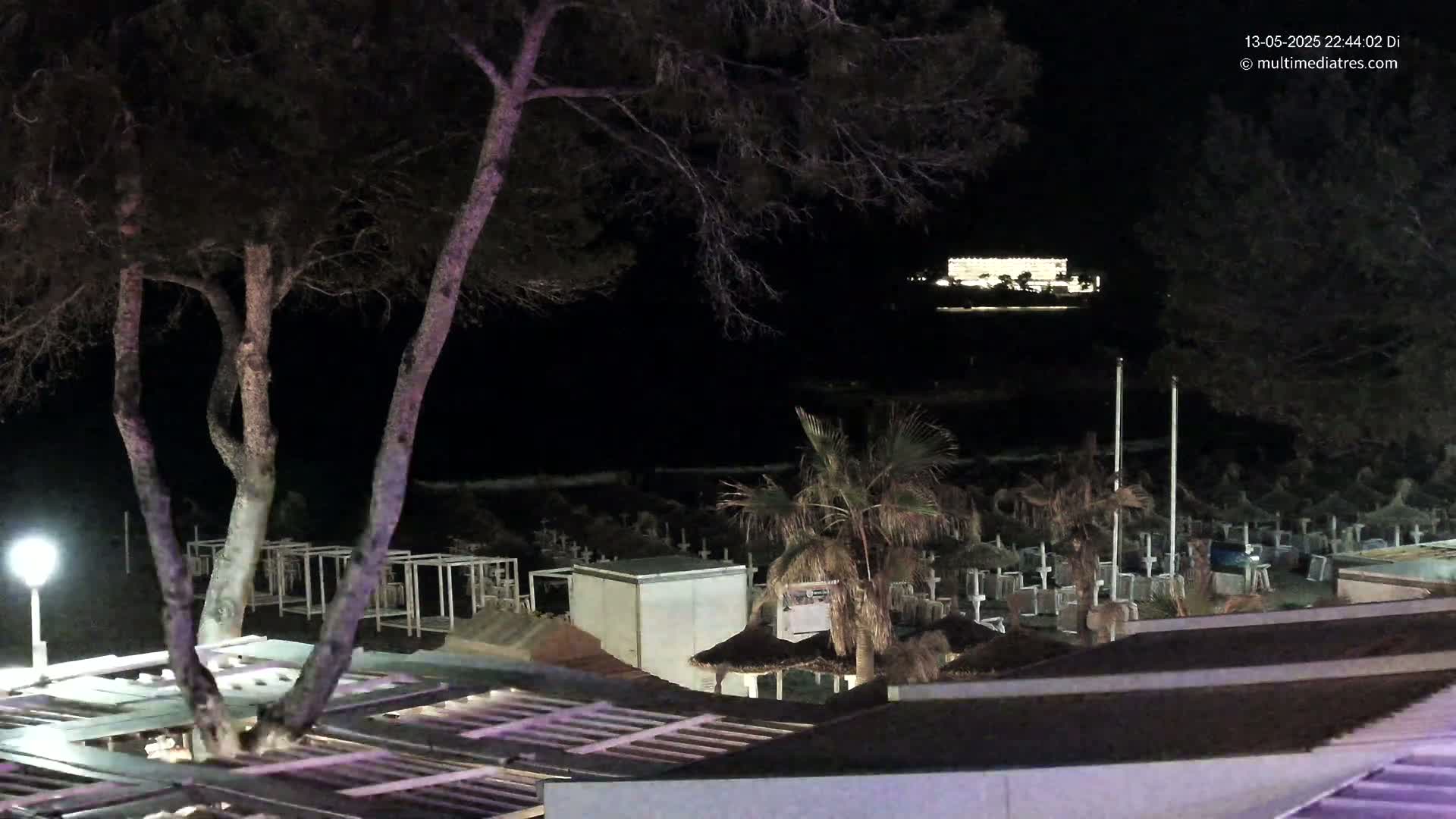 A nighttime view of a beach with closed beach umbrellas and trees, under a dark sky, shows a distant, brightly lit building.