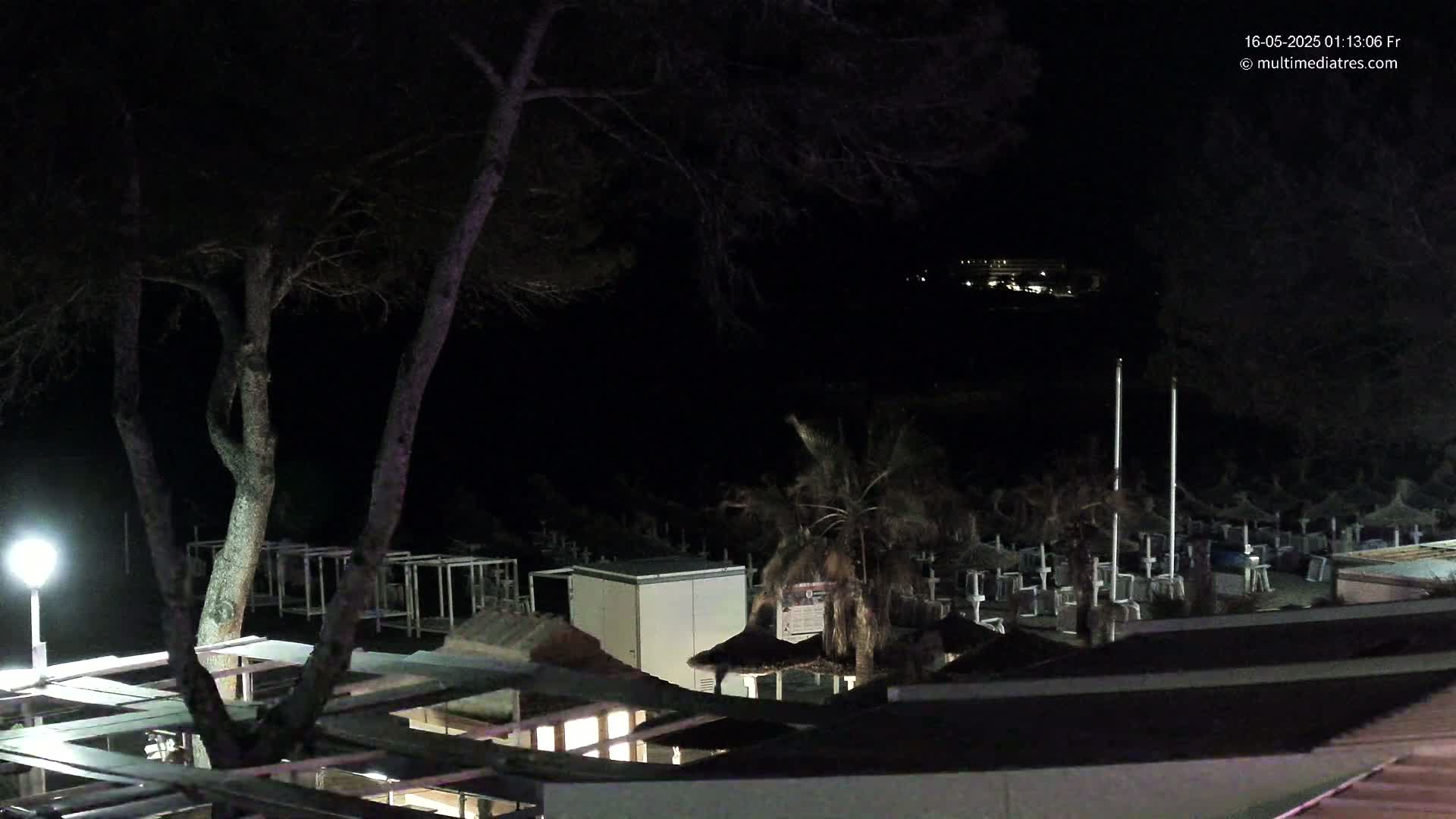 A nighttime scene shows a beach with closed beach umbrellas and a few palm trees under dark, clear skies.