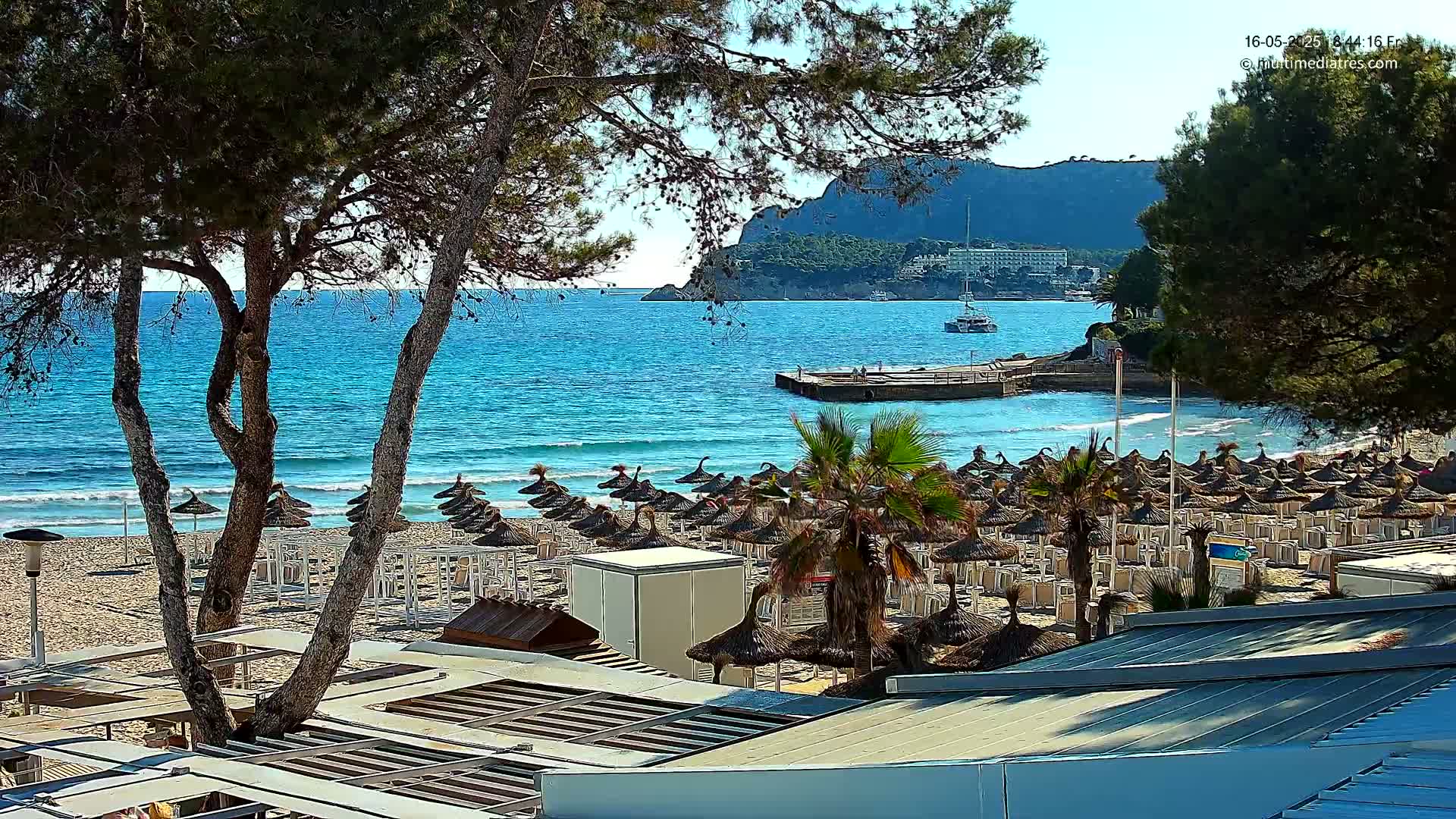 A sandy beach with numerous thatched umbrellas and lounge chairs sits below a line of pine trees overlooking a calm, turquoise ocean and a distant, mountainous shoreline under sunny skies.