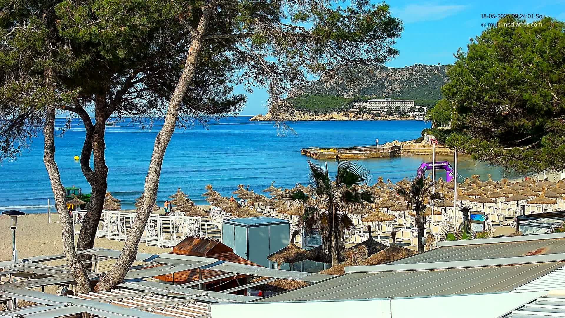 A sandy beach with numerous thatched umbrellas and lounge chairs overlooks a calm, blue ocean under a sunny sky, with pine trees and a distant hotel visible.