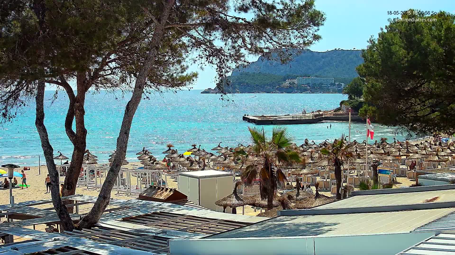 A sunny beach scene with turquoise water, numerous thatched umbrellas, and palm trees, viewed from behind some pine trees, with hills visible in the distance.