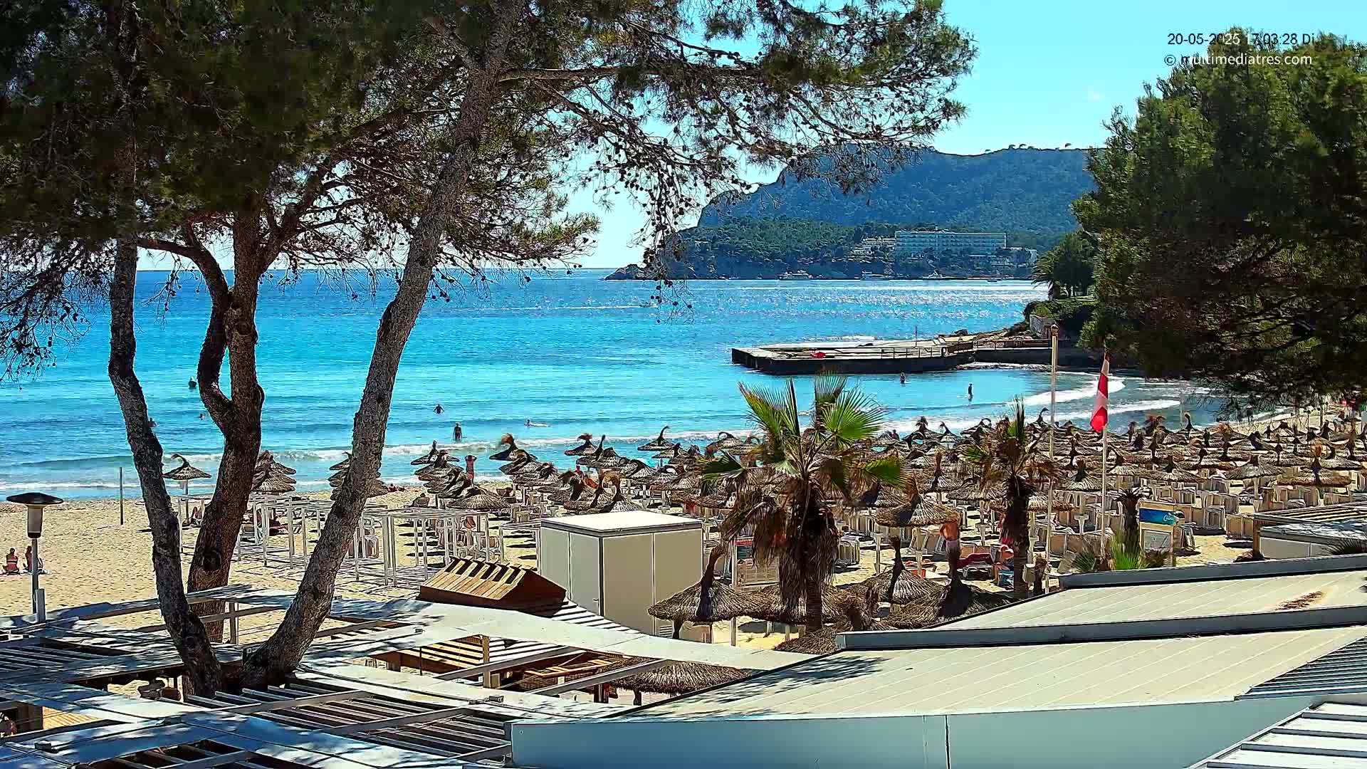 A sunny beach scene with turquoise water, numerous thatched umbrellas, and people enjoying the shore, partially viewed through the branches of pine trees.