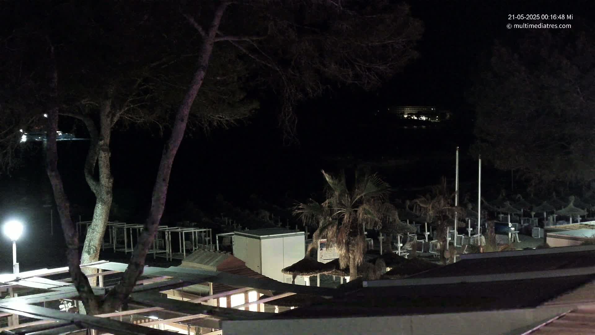 A nighttime view of a beach at night showing rows of beach umbrellas and a palm tree, with a building lit up in the distance under a dark sky.