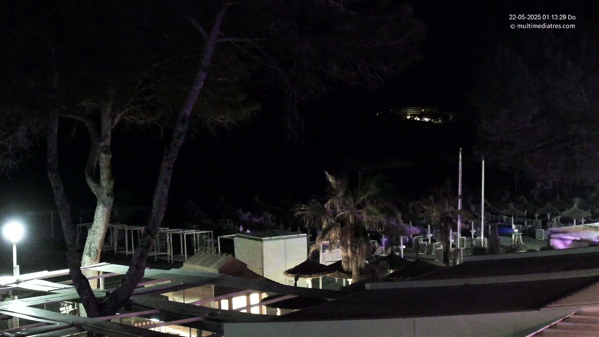 A nighttime view of a beach with closed umbrellas and beach furniture, a few palm trees, and a tall tree in the foreground under a dark, clear sky.