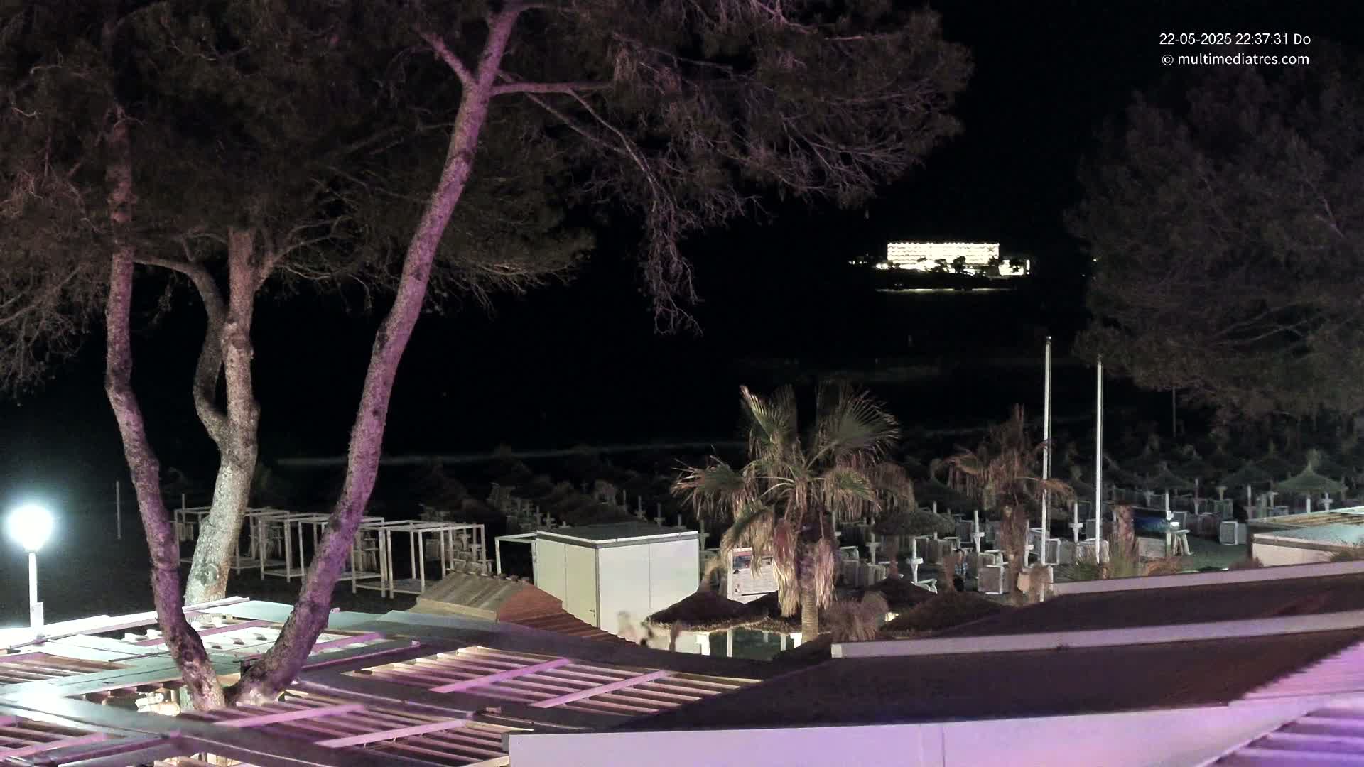 At night, a brightly lit building is visible in the distance beyond a dark beach dotted with closed beach umbrellas and palm trees, under a clear sky.