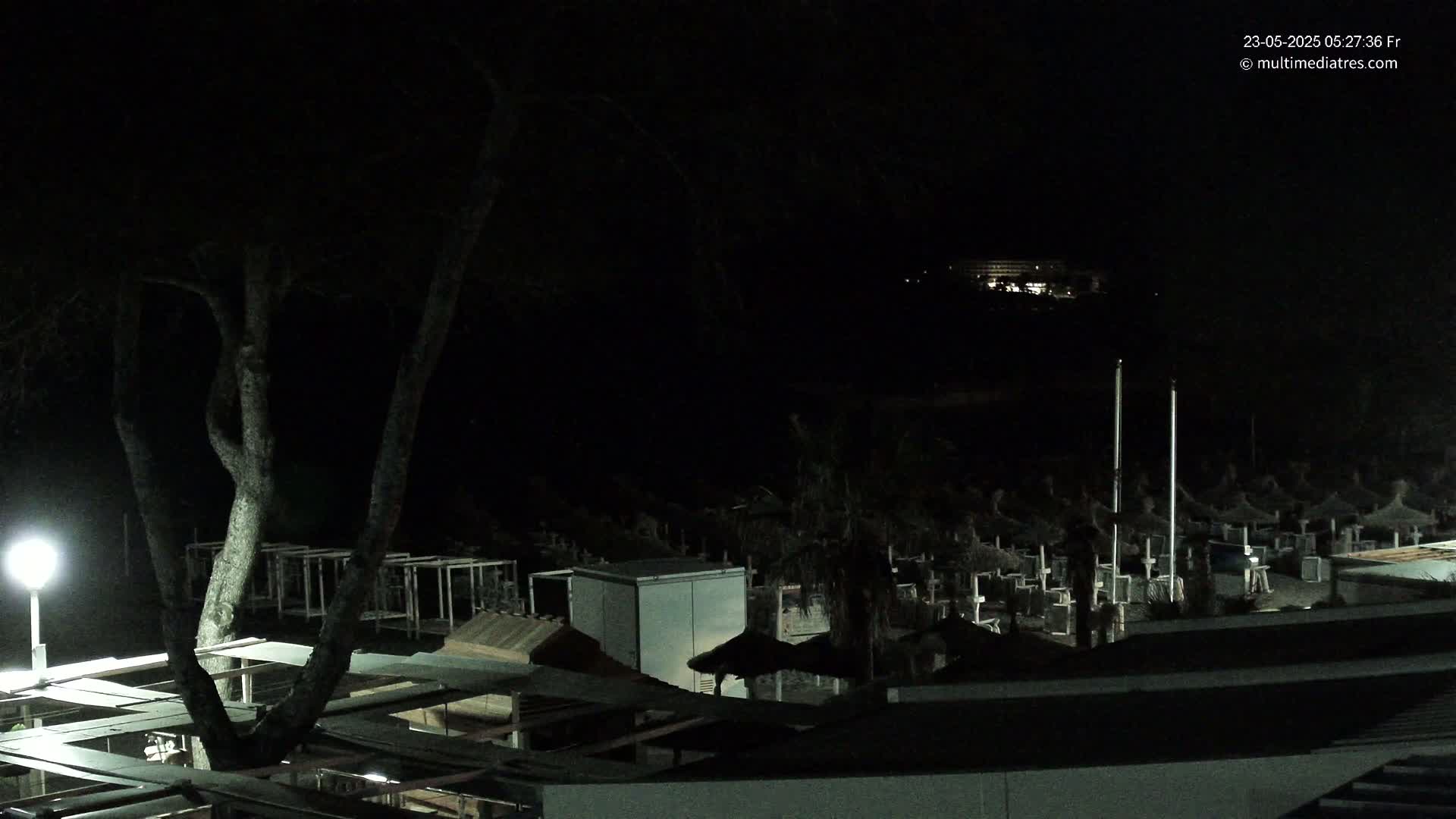 A nighttime, low-light view of a beach area with numerous closed umbrellas and a tree in the foreground, a dimly lit building in the distance.