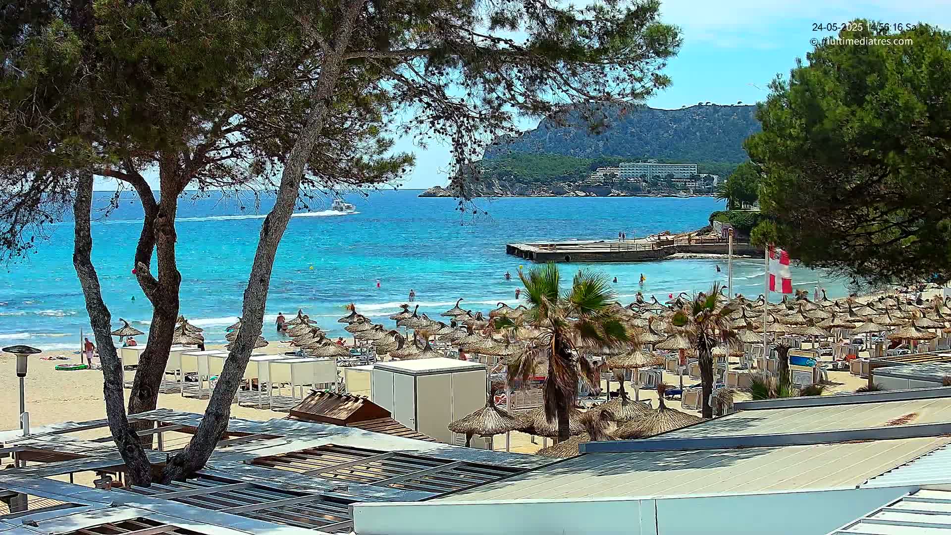 A sunny beach scene shows a sandy shore lined with numerous straw umbrellas, palm trees, and a calm turquoise sea with a boat in the distance, all under a clear blue sky.