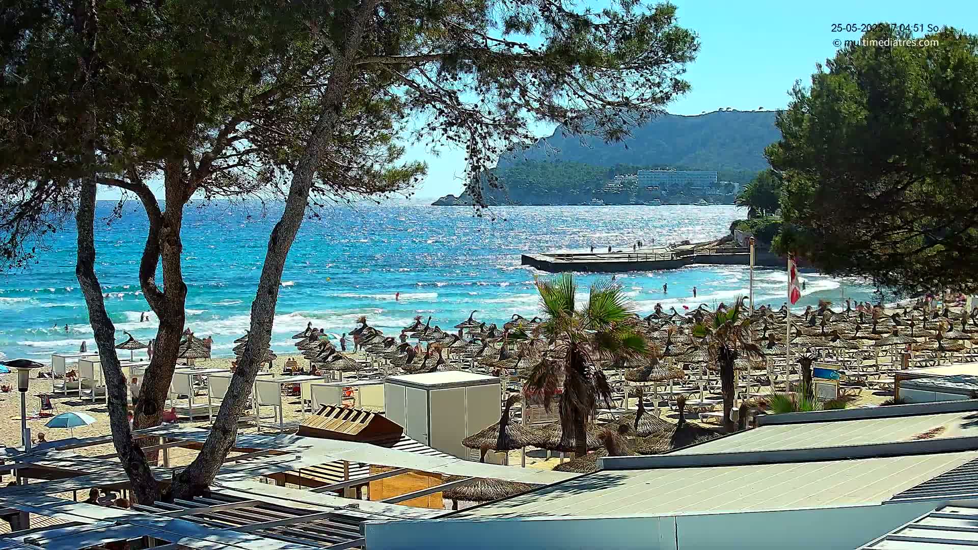 A sunny beach scene shows a stretch of blue water with small waves lapping a sandy shore crowded with beach umbrellas and lounge chairs, partially obscured by pine trees in the foreground.
