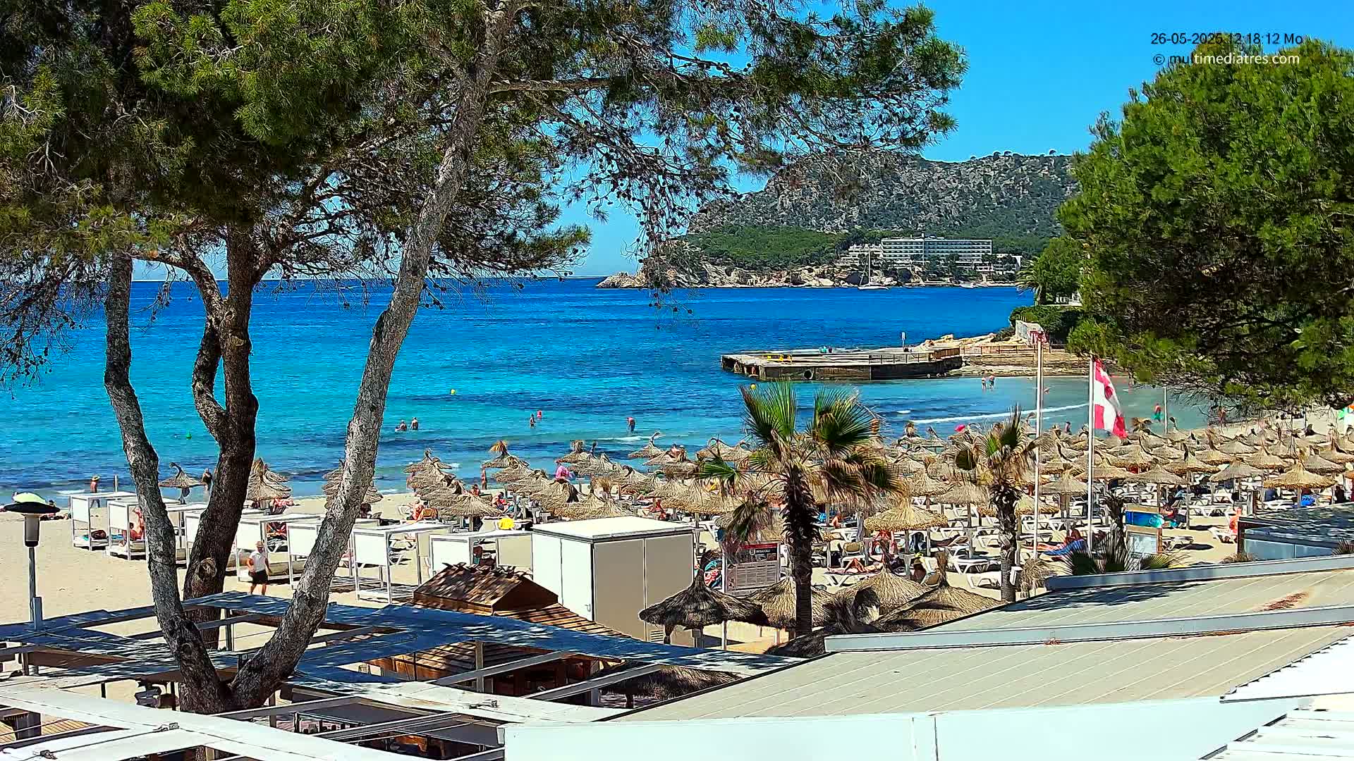 A sunny beach scene shows a sandy shore dotted with thatched umbrellas and lounge chairs, under the shade of pine trees, overlooking a calm, bright turquoise sea and distant hills.