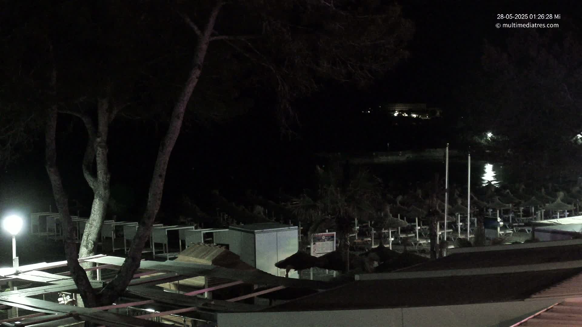 A nighttime view of a beach with rows of closed beach umbrellas and a tree, overlooking dark water.