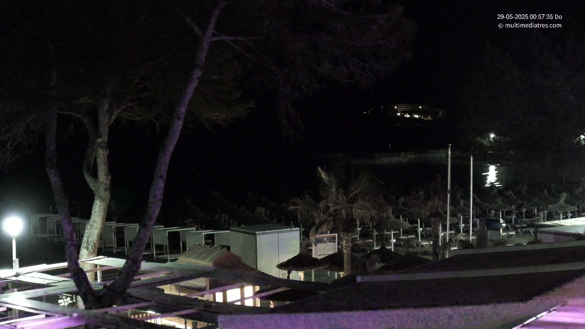 A nighttime view of a beach with numerous closed beach umbrellas and lounge chairs under a dark sky.