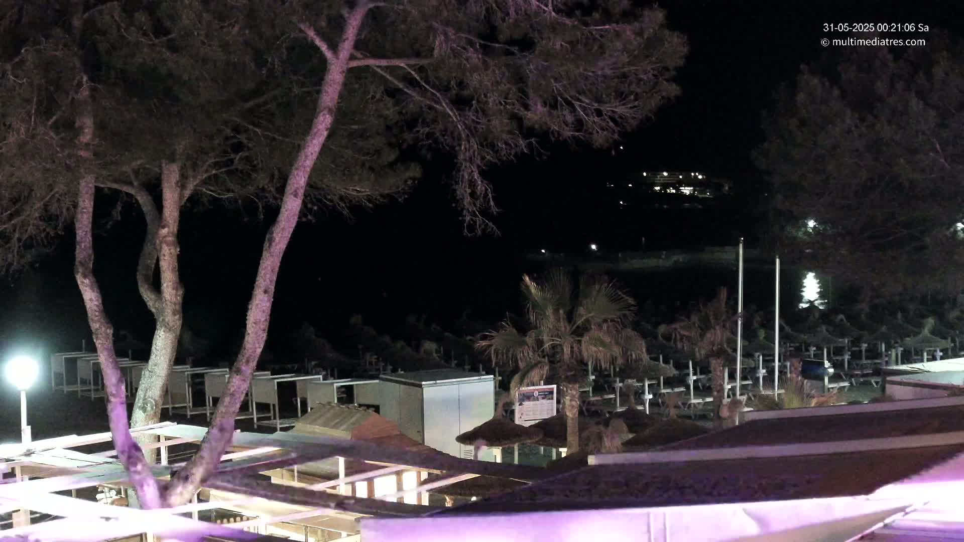 At night, a beach with numerous closed umbrellas is visible beneath a tree, with some buildings and lights in the background.