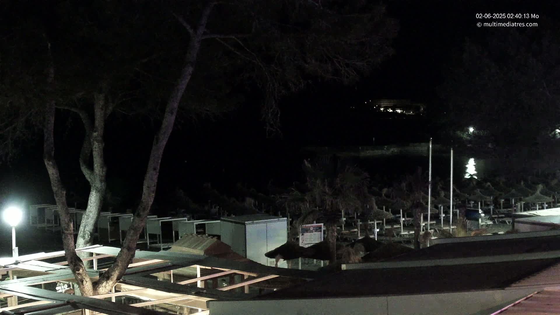 A nighttime view of a beach with closed umbrellas and a large tree, under a dark sky.
