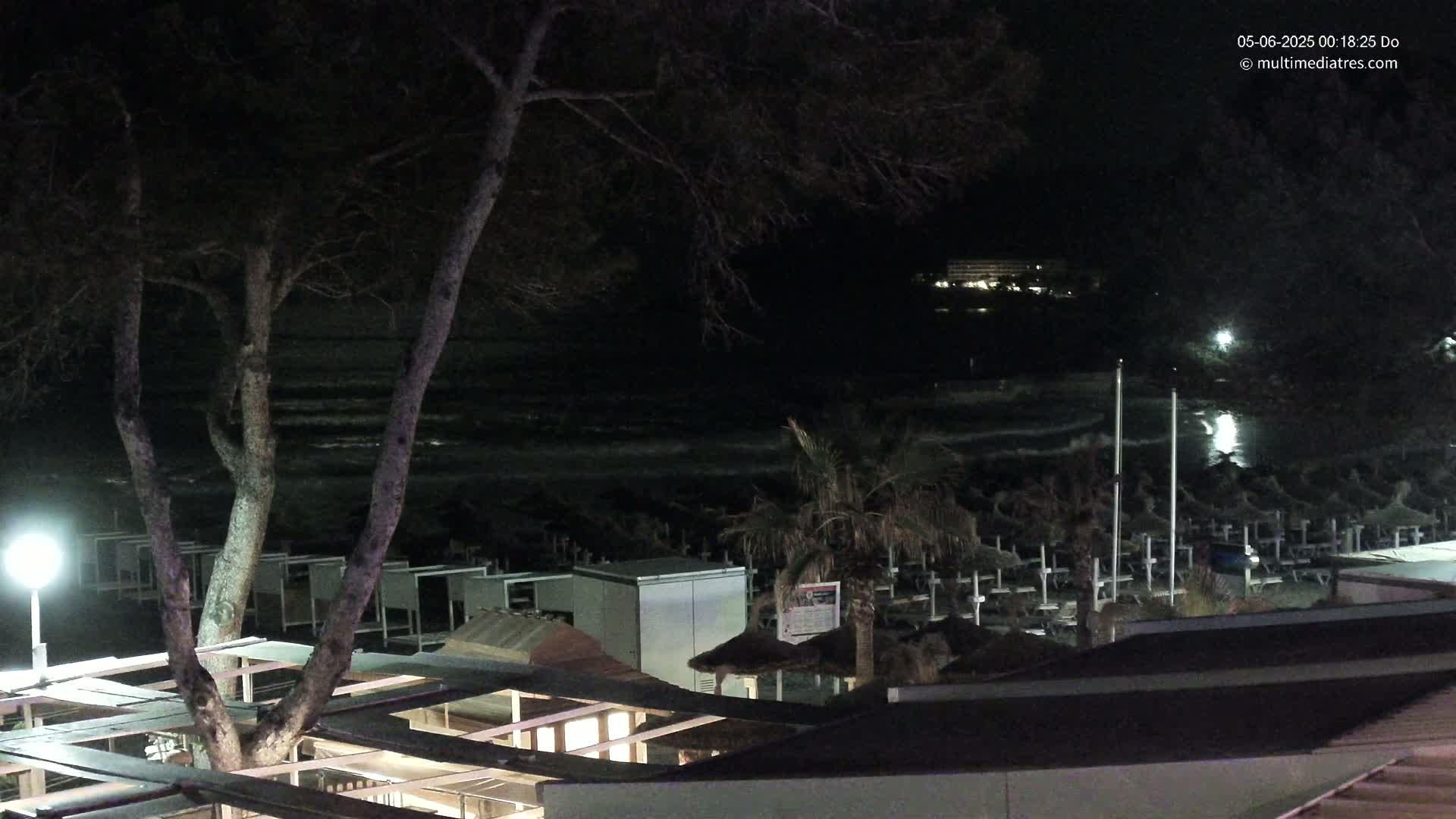 A nighttime view of a beach with choppy waves, beach umbrellas, and a tree in the foreground, under a dark sky.