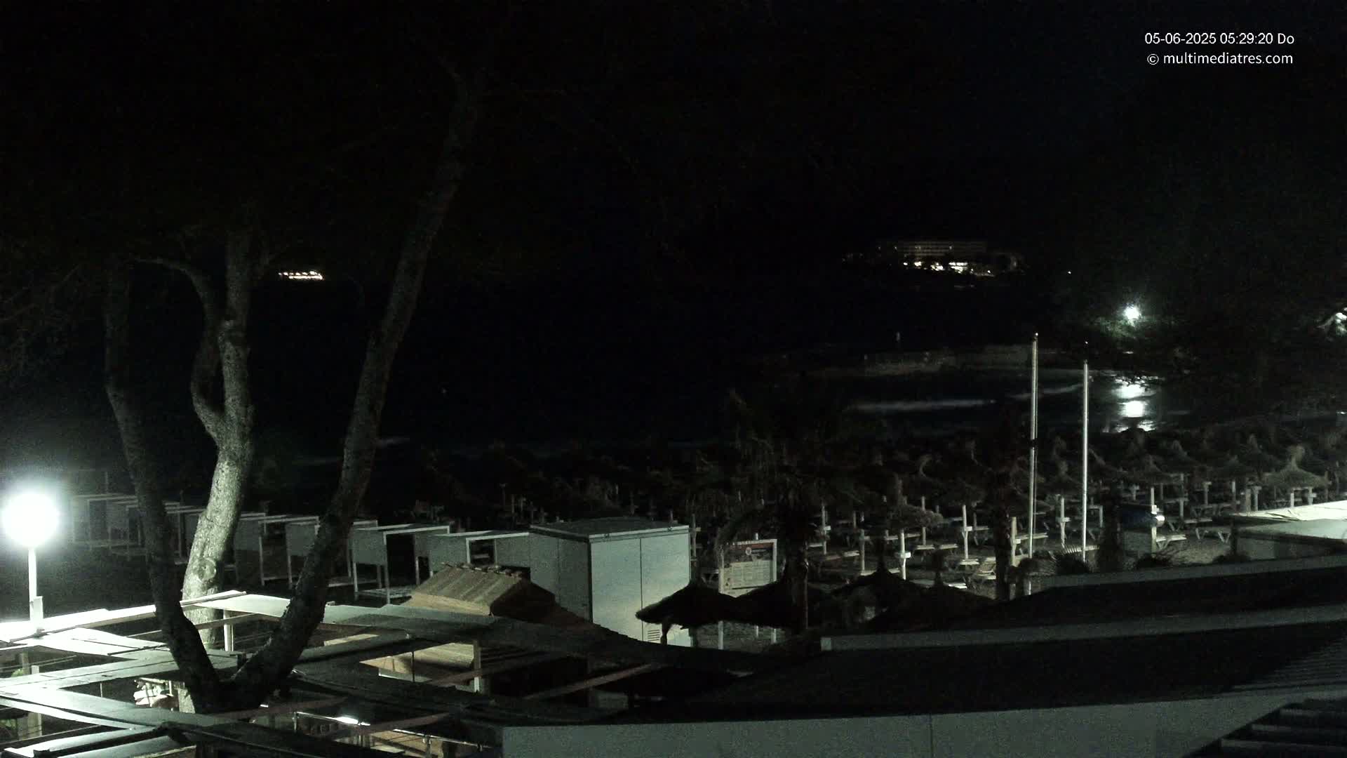 A nighttime view of a beach with rows of closed umbrellas and a tree in the foreground, under a dark sky with a somewhat wavy ocean.