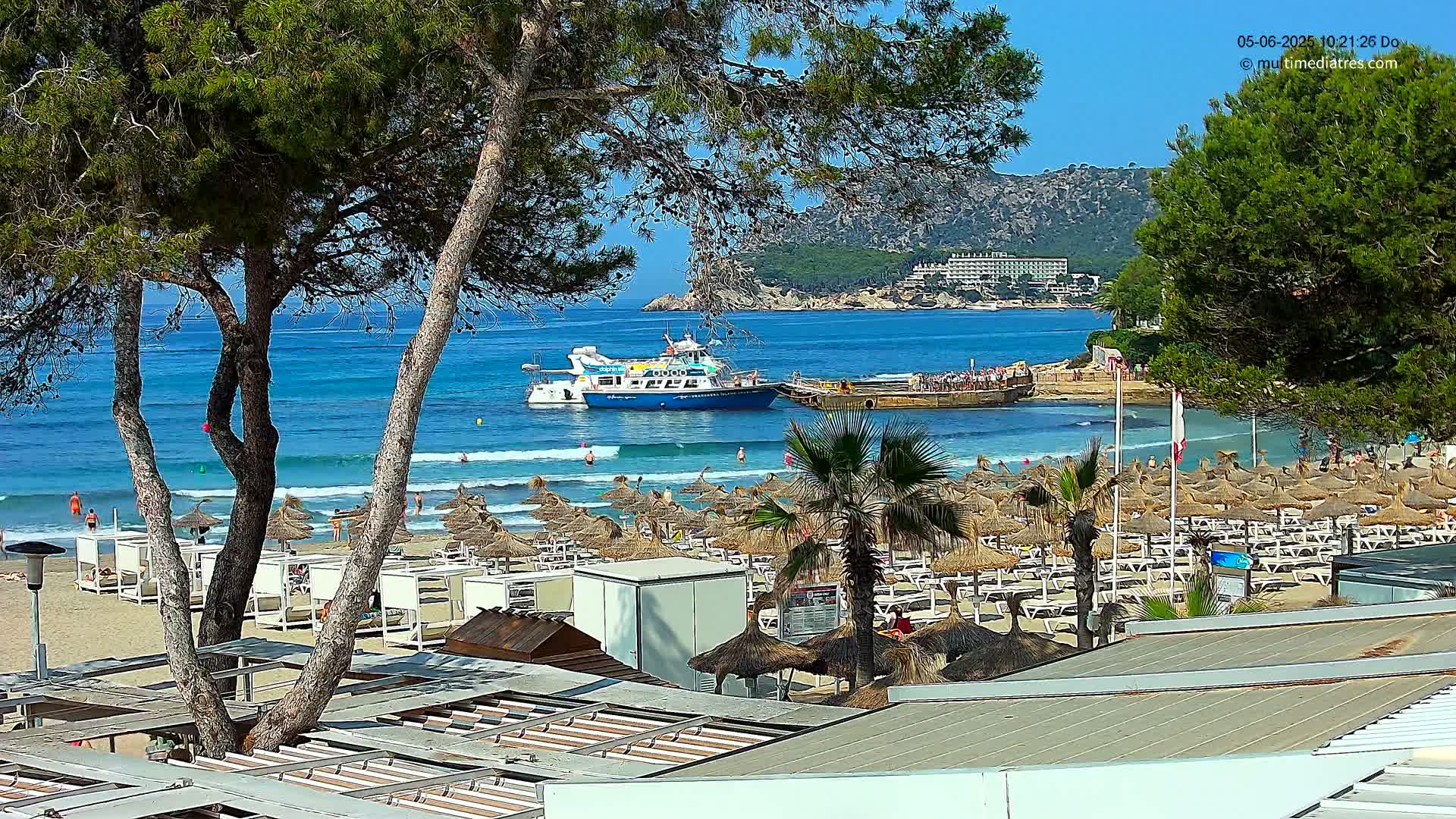 A sandy beach with numerous thatched umbrellas and lounge chairs is partially obscured by pine trees, with a boat in the ocean and a hilly coastline in the background under sunny skies.