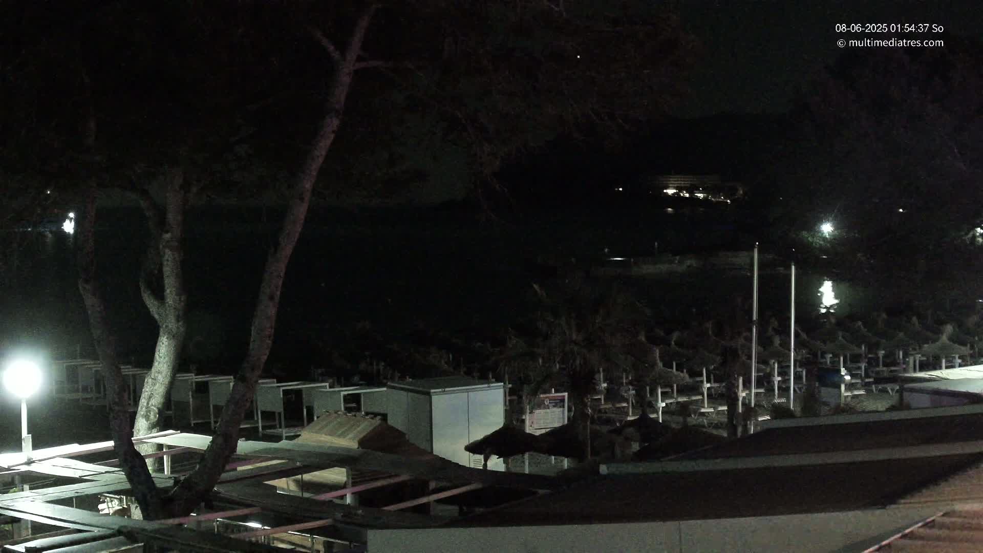 A nighttime view of a beach with rows of closed beach umbrellas and a large tree in the foreground, under a clear, dark sky.