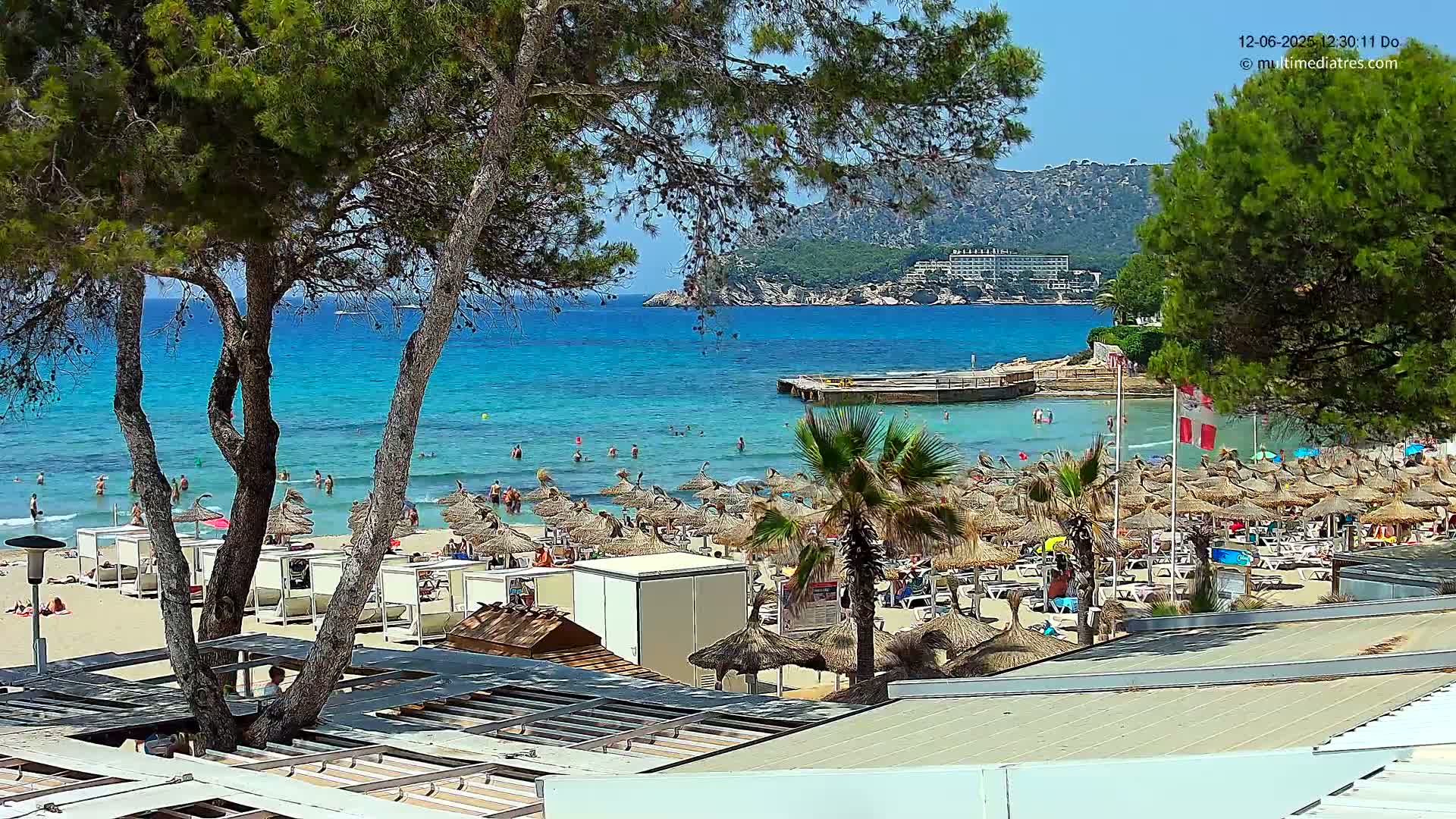 A sunny beach scene shows a sandy shore lined with thatched umbrellas, people swimming in clear turquoise water, and pine trees framing the view.