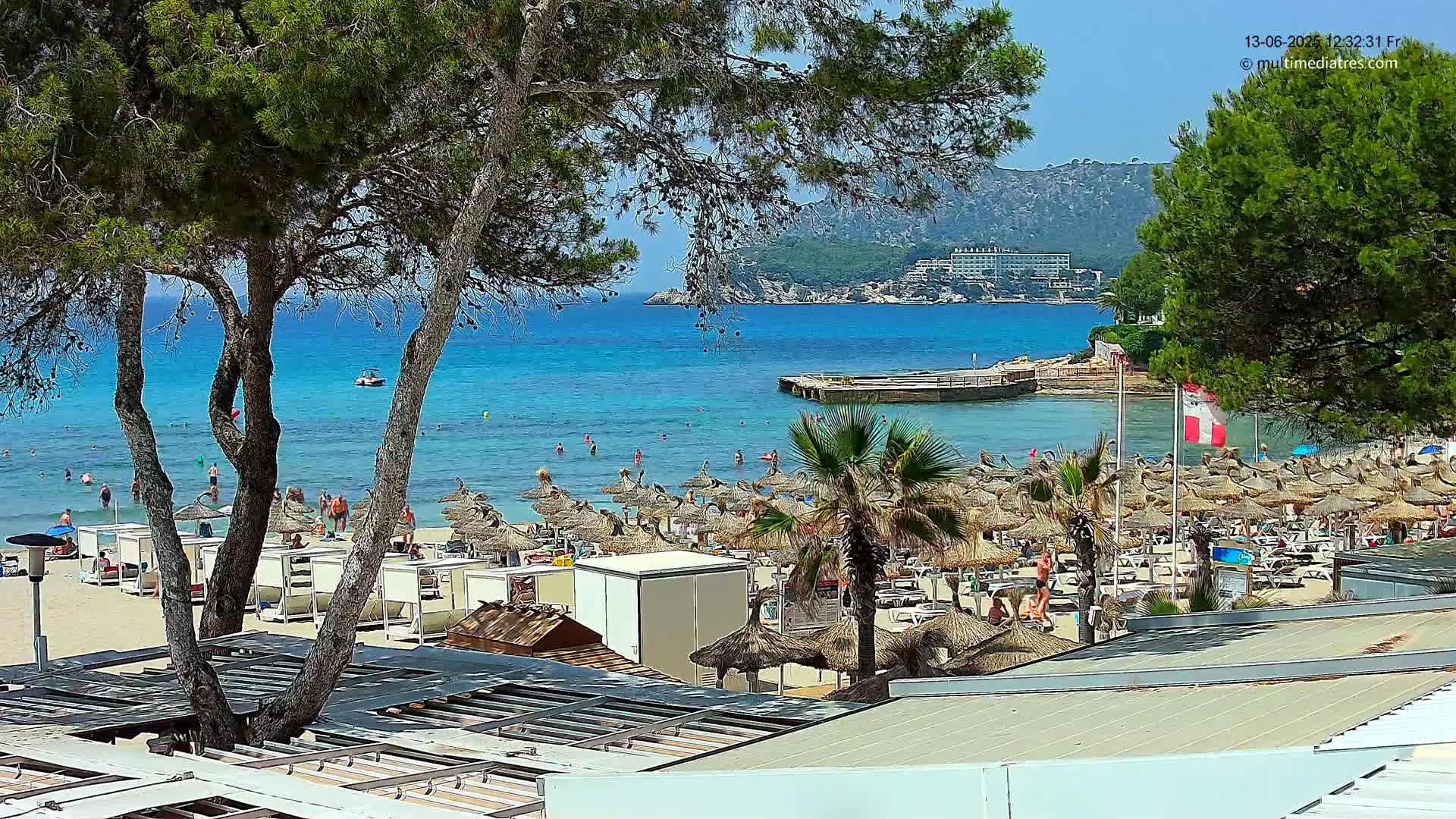 A sunny beach scene with turquoise water, numerous thatched umbrellas, and people relaxing on the sand, partially viewed through the branches of pine trees.