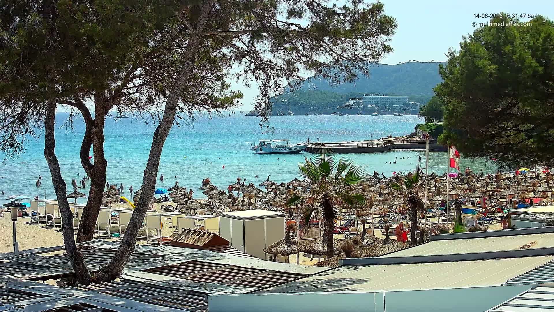 A sunny beach scene shows a calm, turquoise ocean with many people swimming and relaxing under numerous thatched umbrellas, a boat docked nearby, and pine trees framing the view.