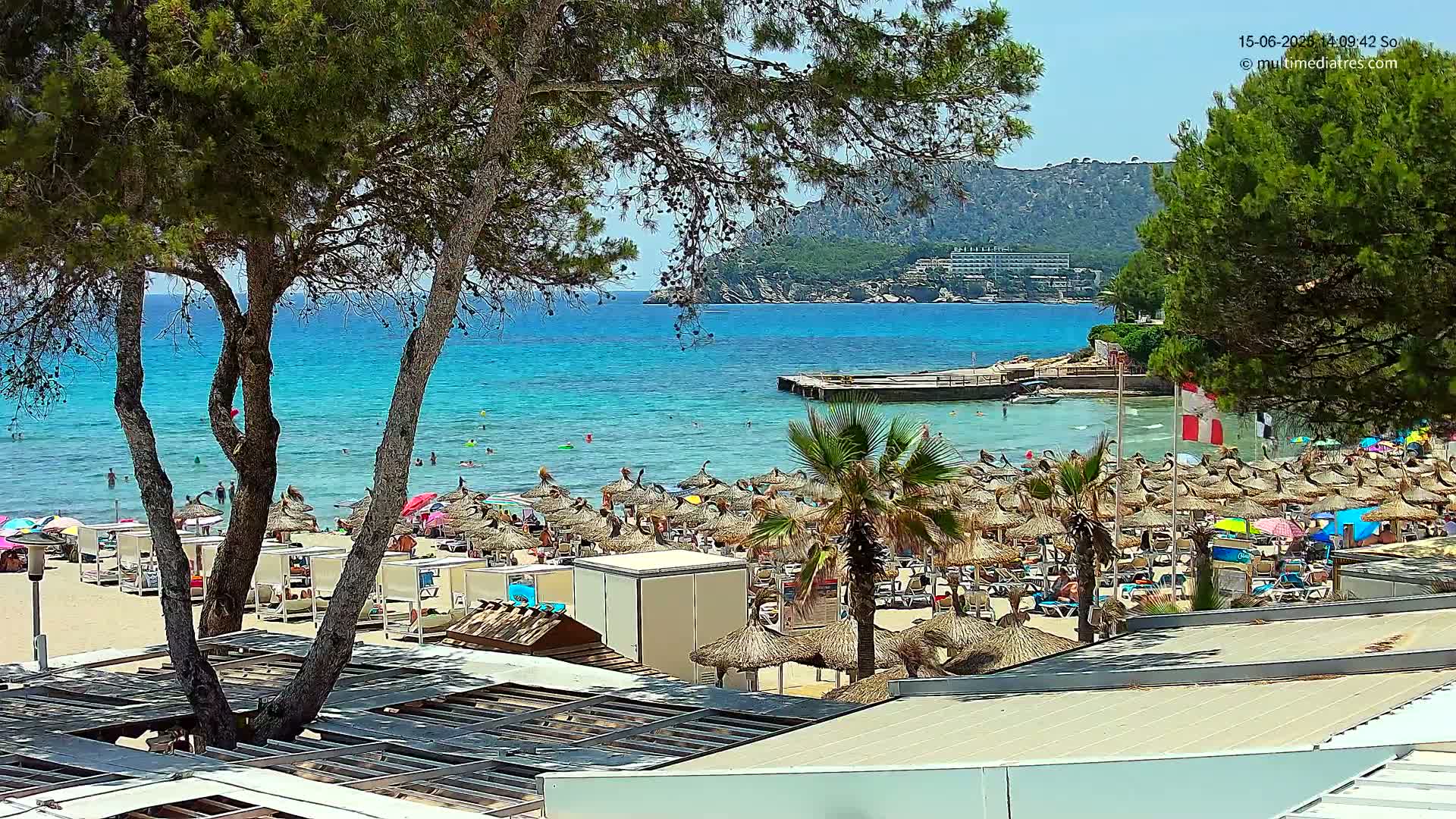 A sunny beach scene shows a sandy shoreline with numerous thatched umbrellas and lounge chairs, a calm turquoise ocean with people swimming, and pine trees framing the view of a distant hillside.