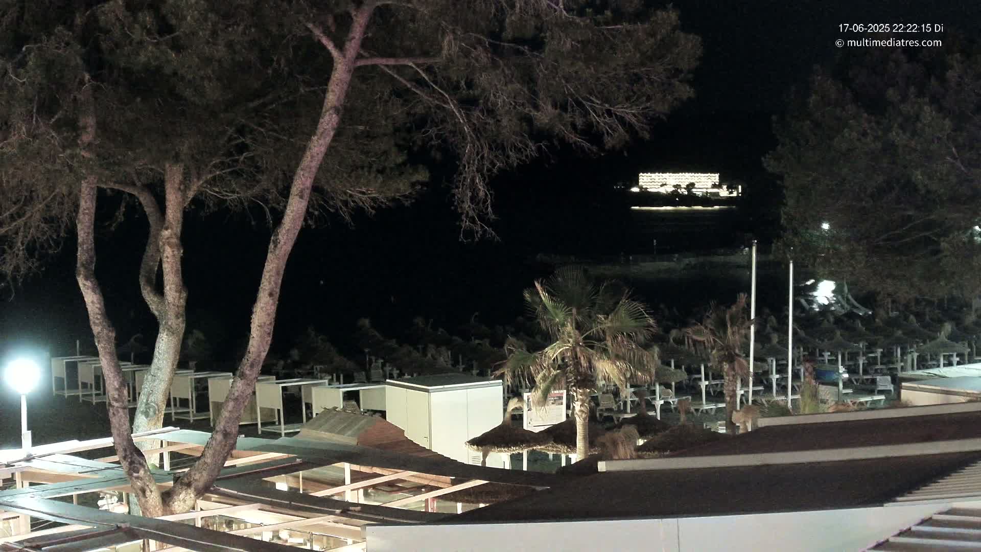 At night, a beach with rows of closed beach umbrellas is visible beneath a dark sky, with tall trees and a palm tree in the foreground, and a brightly lit building in the distance across the water.