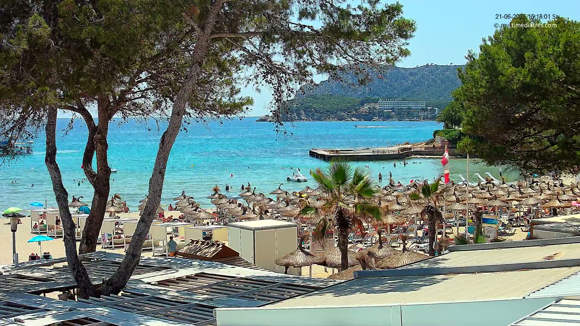 A sunny beach scene shows a calm, turquoise ocean, numerous thatched umbrellas lining the sand, and several palm trees, all partially obscured by pine trees in the foreground.