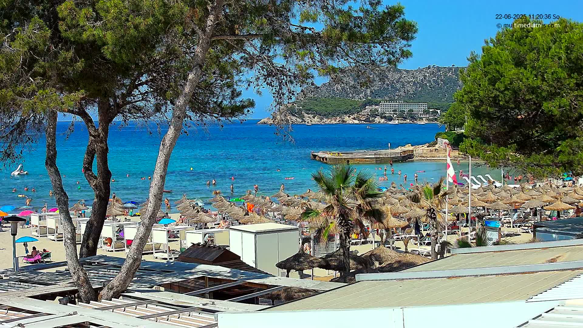 A sunny beach scene shows a sandy shoreline crowded with thatched umbrellas, people swimming in clear turquoise water, and pine trees in the foreground.