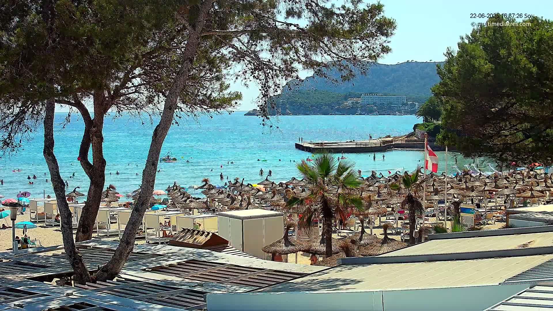 A sunny beach scene shows a crowded sandy shore with numerous thatched umbrellas, people swimming in the clear turquoise water, and pine trees framing the view of a calm sea and distant hills.