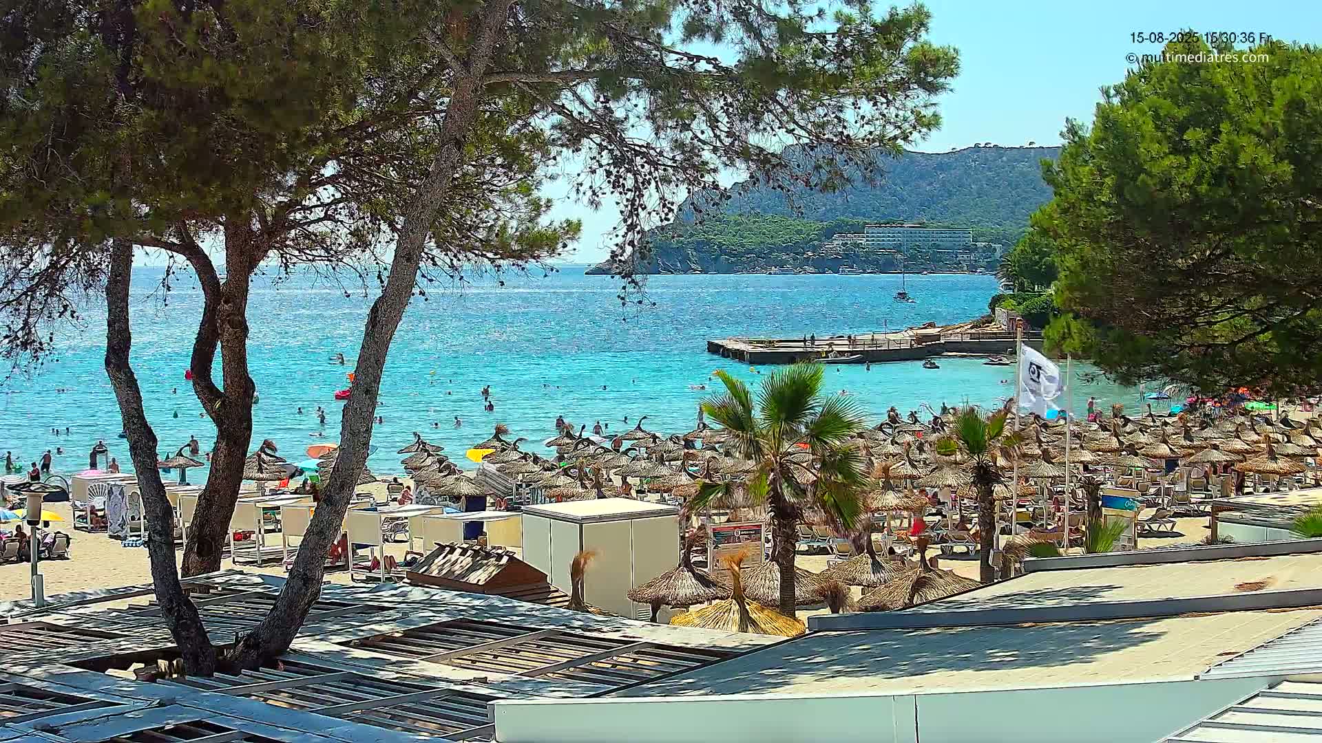 A sunny beach scene shows a calm, blue sea with a boat, numerous beach umbrellas and lounge chairs, and several palm trees near a shoreline with buildings in the background.