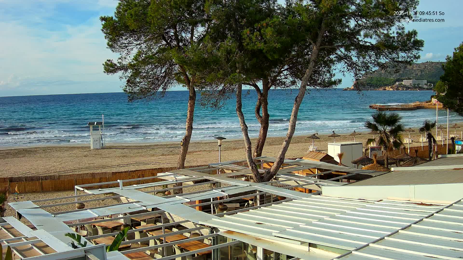 A sunny beach scene unfolds with a blue ocean featuring gentle waves, a sandy shore dotted with a lifeguard stand and numerous straw umbrellas, several tall pine trees, and a modern outdoor restaurant terrace in the foreground, all under a partly cloudy sky.