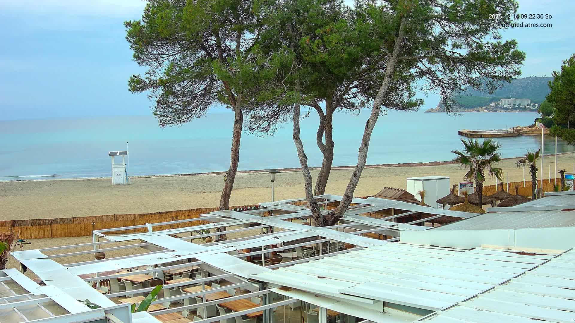 On a clear and sunny day, an outdoor restaurant patio overlooks a sandy beach where gentle blue waves break, flanked by pine trees, a lifeguard stand, and a few people strolling, with distant cliffs, buildings, and a pier completing the scenic view.