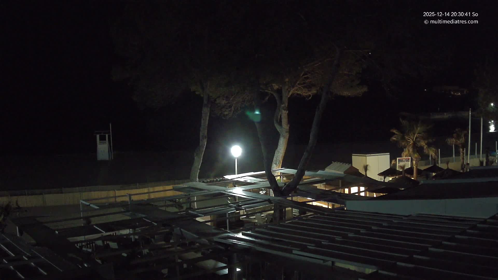 On a clear and sunny day, an outdoor restaurant patio overlooks a sandy beach where gentle blue waves break, flanked by pine trees, a lifeguard stand, and a few people strolling, with distant cliffs, buildings, and a pier completing the scenic view.