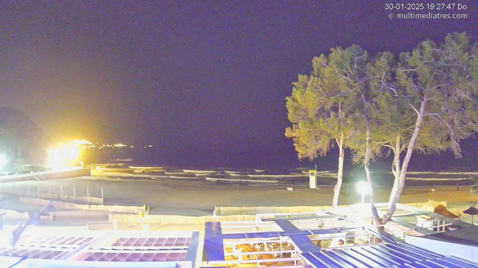 A nighttime view of a beach with gentle waves under a clear, starry sky, featuring a beachfront establishment with outdoor seating and several tall, slender pine trees.