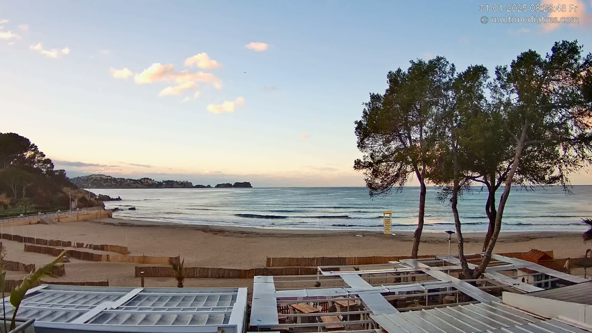 A sandy beach with gentle waves under a partly cloudy, pale sunrise sky is viewed from above a beachfront patio area partially shaded by several pine trees.