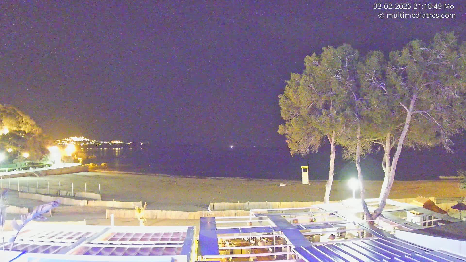 A nighttime view of a sandy beach with calm water, a few lights on the shore, and tall trees in the foreground under a clear, starry sky.