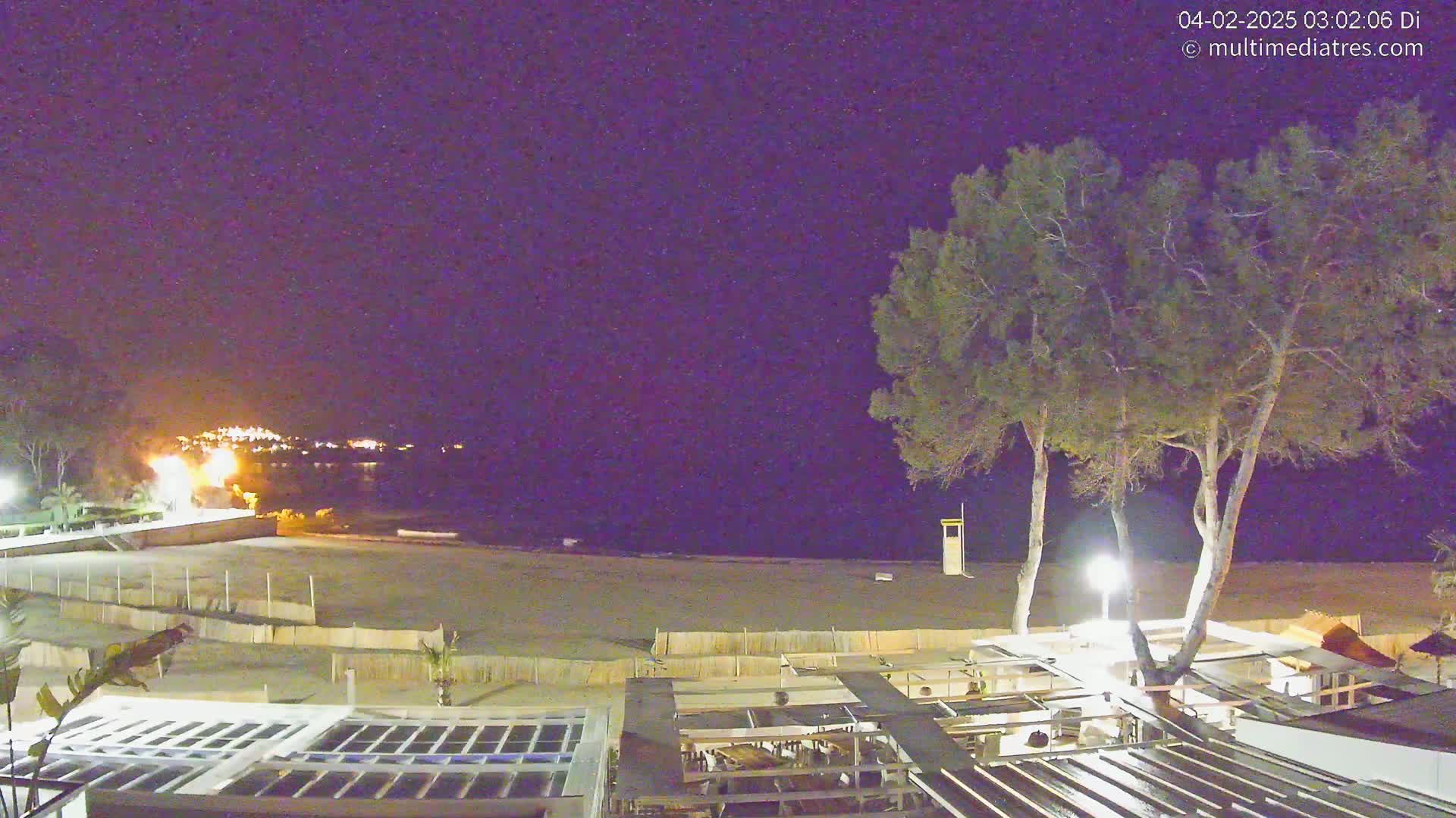 A nighttime view of a beach with a few lights visible in the distance, two tall trees in the foreground, and an outdoor restaurant structure.