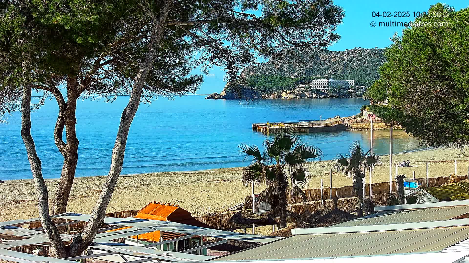 A sandy beach with calm, blue water is partially obscured by pine trees and palm trees, and some beach structures are visible in the foreground.