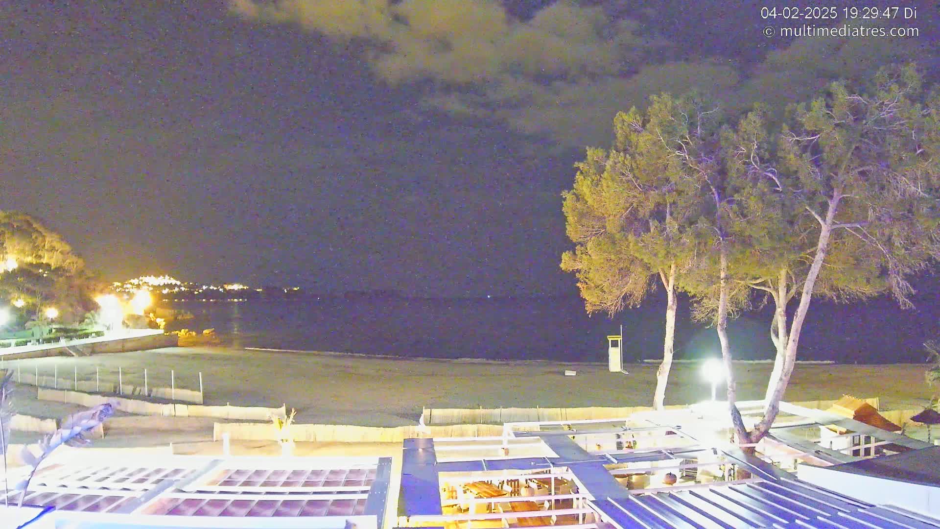 A nighttime view of a beach with calm water, illuminated buildings in the distance, and several pine trees near a structure with a retractable roof.